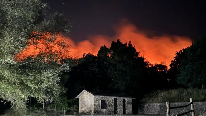 scenario spettrale a montaguto dopo gli incendi niente picnic di ferragosto