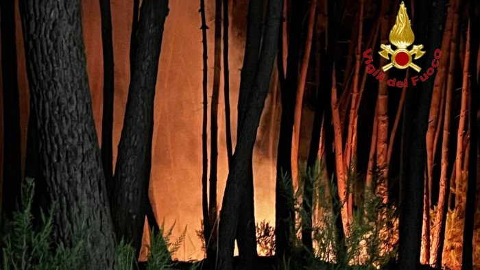 vibonati maxi incendio in montagna salvata area pic nic e una chiesa