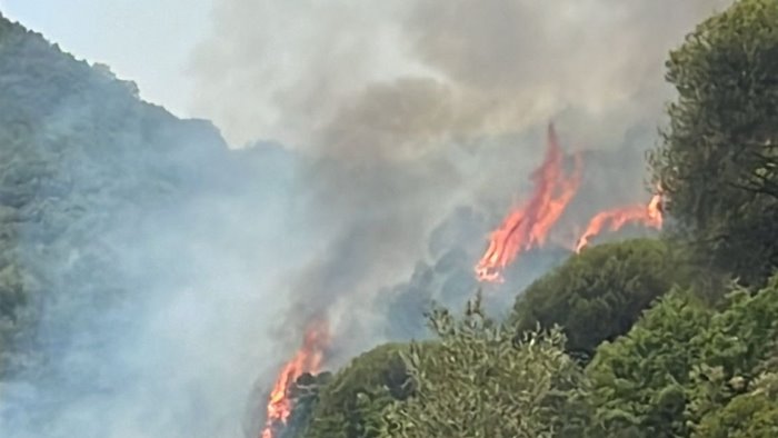 incendio a cetara sedato il rogo che minacciava le abitazioni