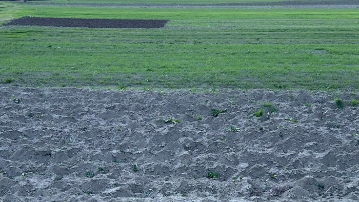 unci agroalimentare emergenza siccita per agricoltura intervengano istituzioni