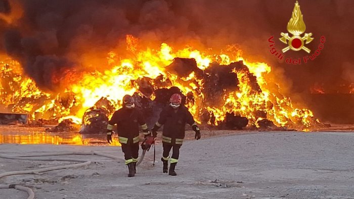 incendio di persano concentrazioni diossine sotto valore di riferimento