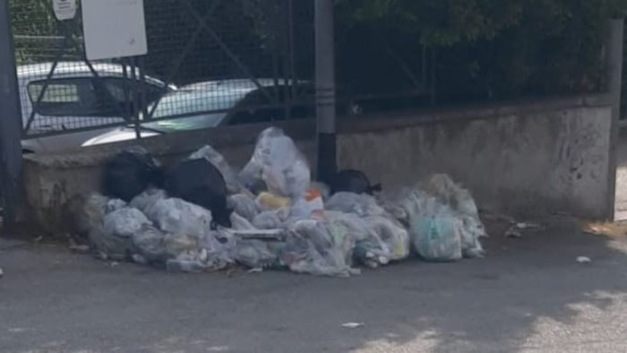 salerno avella denuncia microdiscariche nei pressi del parco pinocchio