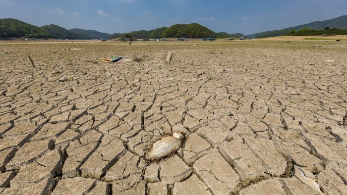 crisi idrica coduti pd conseguenze per il settore agricolo aree interne