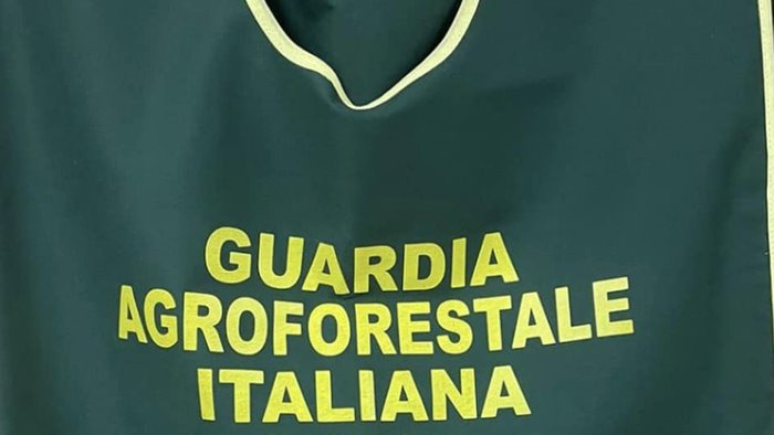 sassano getta rifiuti nel fiume denunciato dalla guardia agroforestale