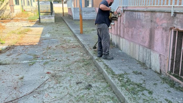 partita la manutenzione del verde nelle scuole di caserta