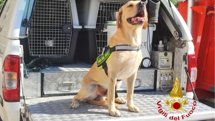 frana a san felice a cancello cinofili da salerno per cercare i dispersi