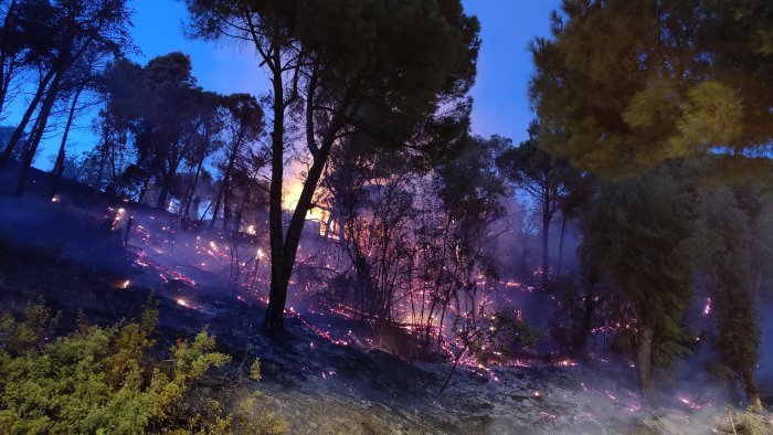 incendi sindaco salerno ora riaprire via salvatore de renzi