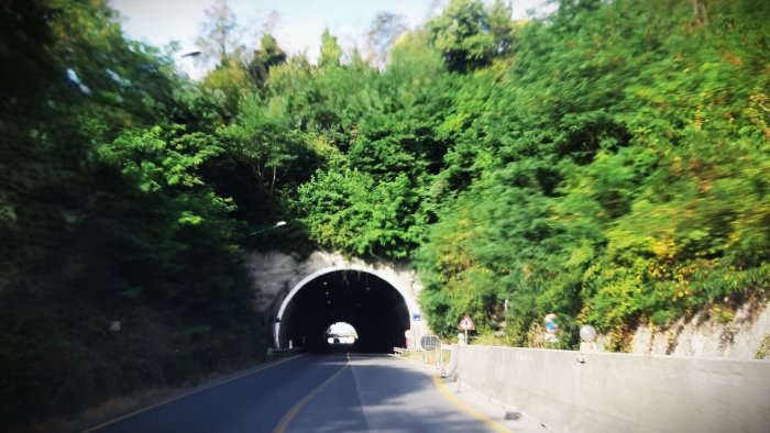 galleria maddalena ad ariano la foresta avanza e i new jersey ancora li