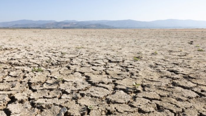 siccita l associazione agricoltori avellinesi spinge per la calamita naturale