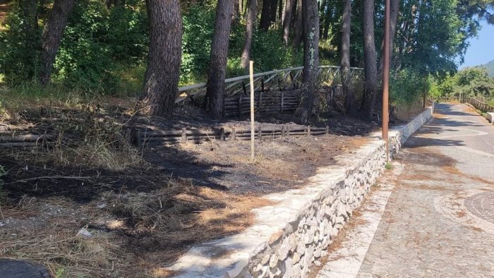 piromane in azione a monteforte irpino l allarme dei residenti salva la pineta