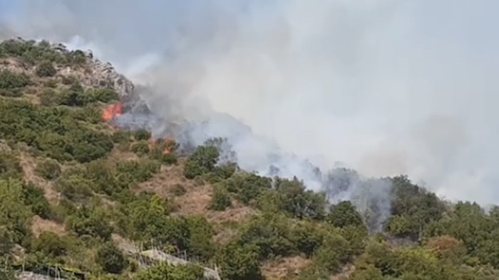 incendi il comitato tuteliamo la costiera scrive ai sindaci