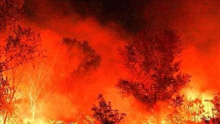 terra dei fuochi vasto incendio cittadini chiusi in casa