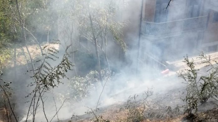 ariano fiamme in centro brucia una scarpata