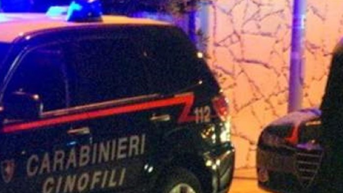 il cane olli scova la droga arrestata giovane coppia