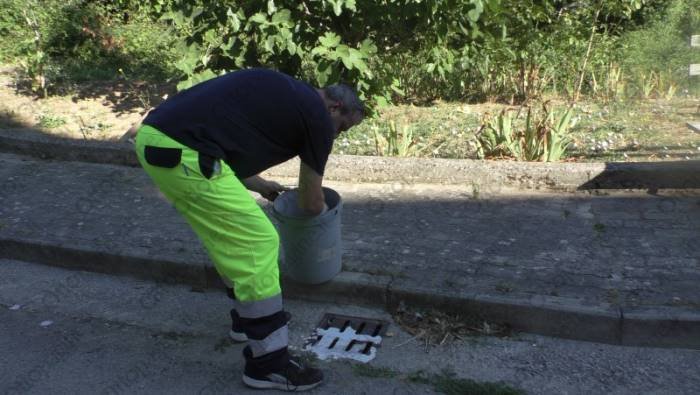 intervento di derattizzazione su tutto il territorio ad ariano