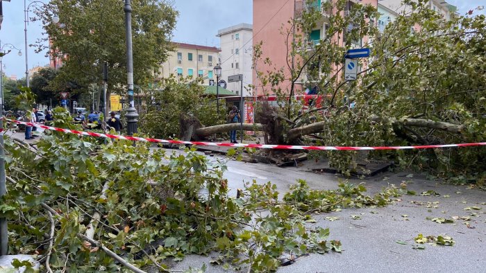 tromba d aria salerno casciello richiesto stato di calamita