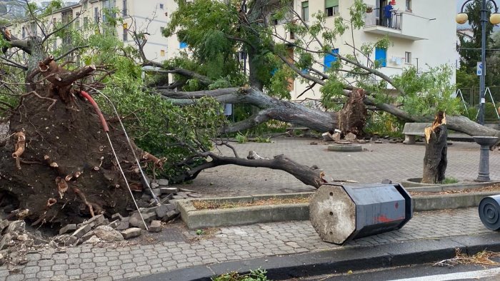 maltempo salernitano in ginocchio vicini ai comuni colpiti