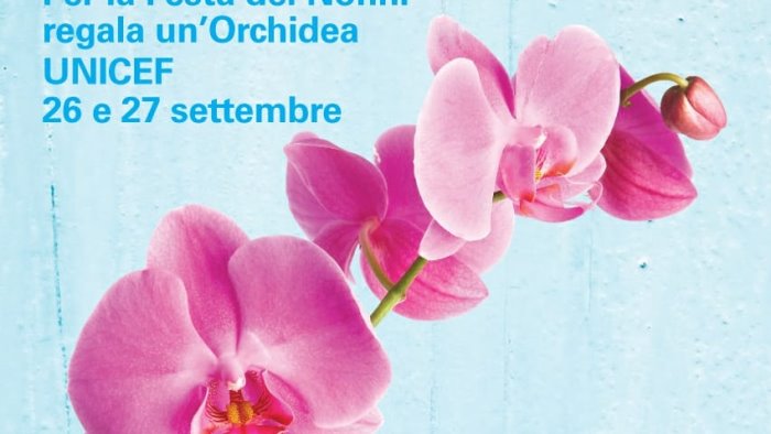 Festa dei nonni, torna l'Orchidea Unicef - Ottopagine.it ...