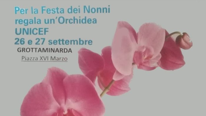 l unicef e l orchidea dei nonni grottaminarda c e