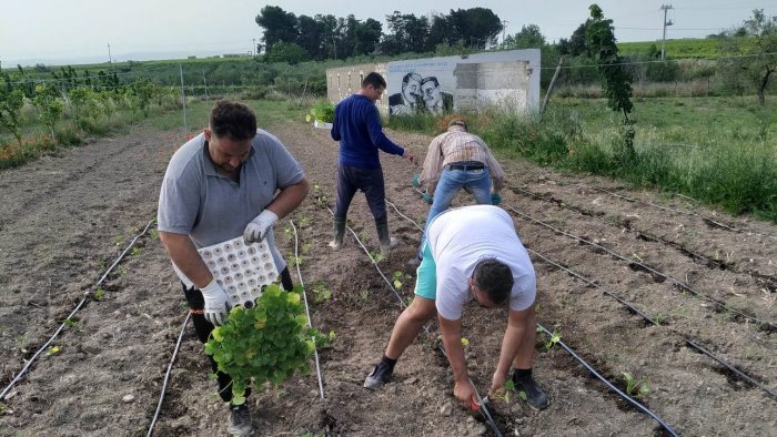 lotta alla mafia ed inserimento lavorativo al sud ecco come