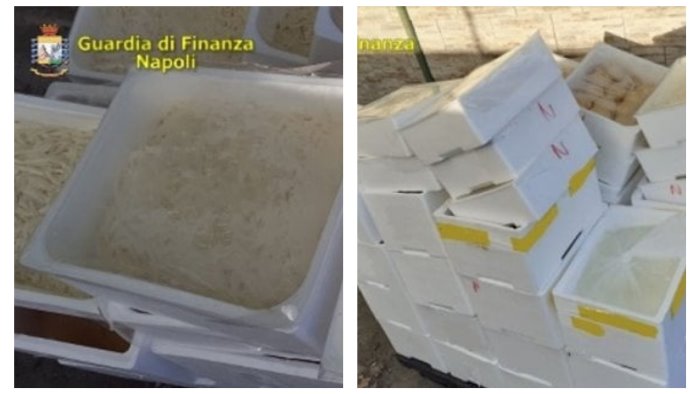 napoli l industria del falso riproduce anche la mozzarella