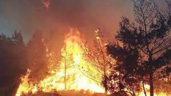 brucia il monte erbano ettari di vegetazione in fumo