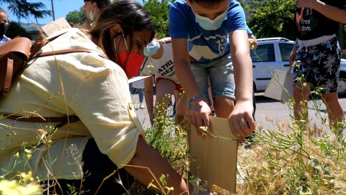 aiuoliamoci domenica a salerno la prima tappa del progetto sociale