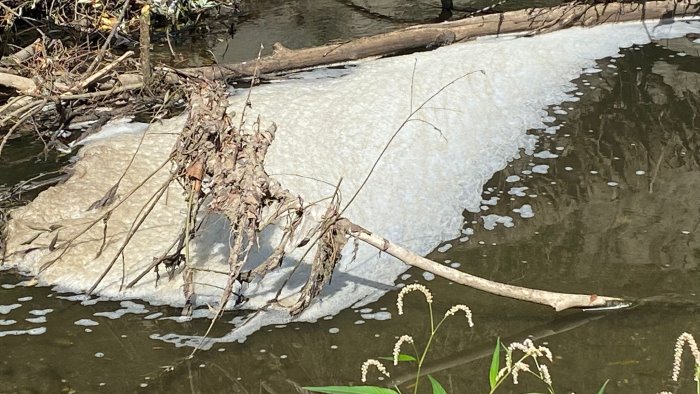 fiume sabato ancora pieno di schiuma il solito criminale indisturbato