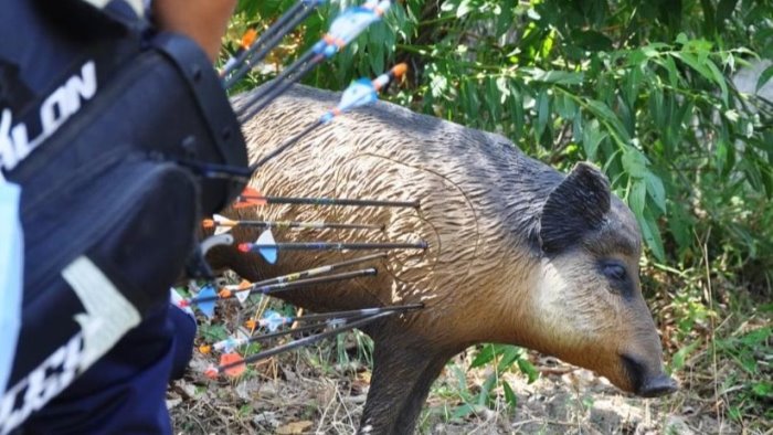 campionato italiano di tiro con l arco specialita 3d appuntamento al laceno