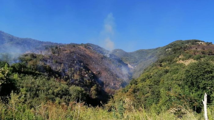 ancora fiamme nel salernitano paura a sarno incendio in via bracigliano