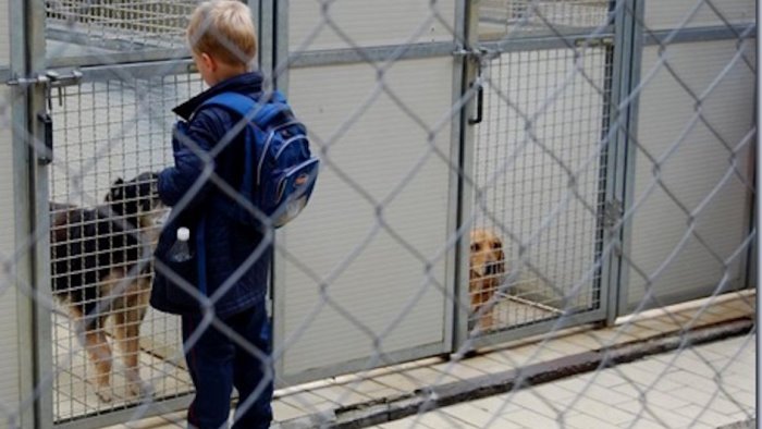 gli studenti della scuola di mirabella in visita al canile di luogosano