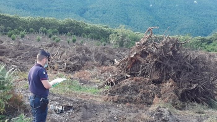 controlli ambientali denunciato e multato il proprietario di un terreno