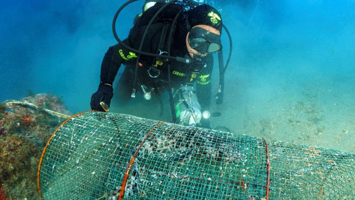 trappole illegali in area marina protetta sequestro dei carabinieri