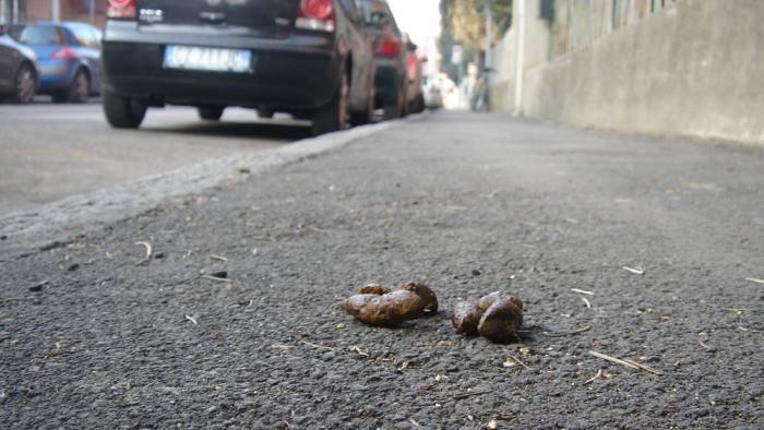 comune contro chi lascia in strada le deiezioni canine questione di civilta