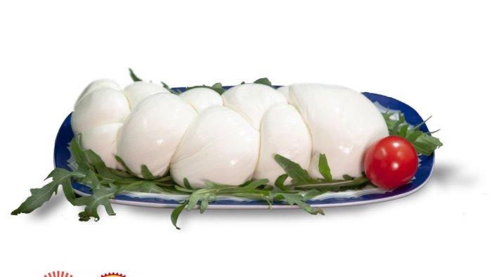 200 chili di falsa mozzarella di bufala dop sequestrata a milano