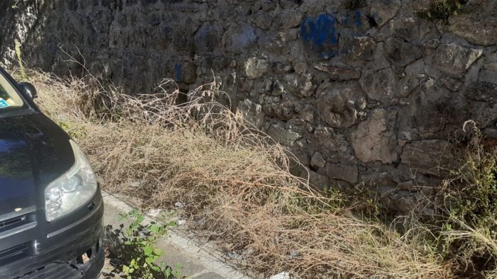 verde pubblico a salerno udicon servono interventi urgenti