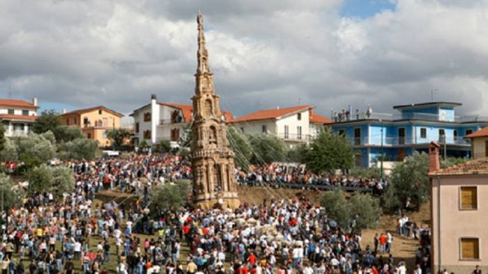 buoi costretti a trascinare obelisco per la festa insorgono gli animalisti