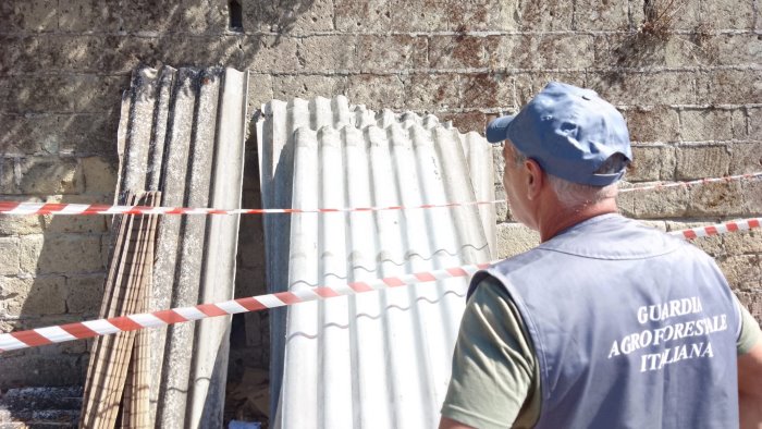 lotta al degrado guardia agroforestale pronti a collaborare con gli enti