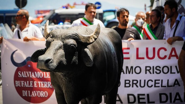 l assemblea degli allevatori ha deciso mobilitazione generale fino a caserta