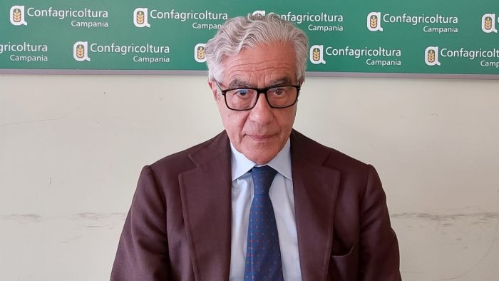 confagricoltura campania plaude impegno de luca caputo e picarone