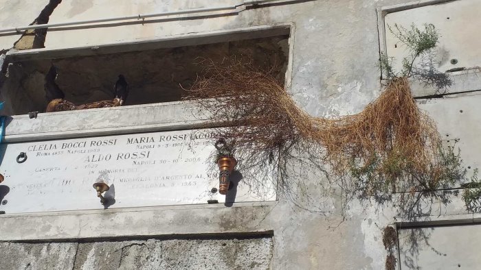 napoli loculi danneggiati e resti mortali in vista al cimitero della doganella