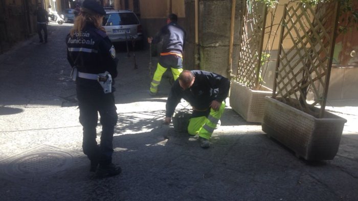 napoli blitz dei vigili rimossi oltre cento paletti abusivi nei quartieri