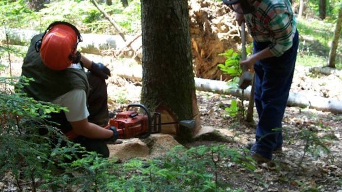 lavoratori della comunita montana senza stipendio da cento giorni la denuncia