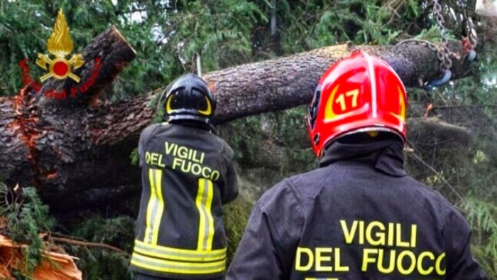 raffiche di vento incendi e crolli cade albero paura sul raccordo a serino