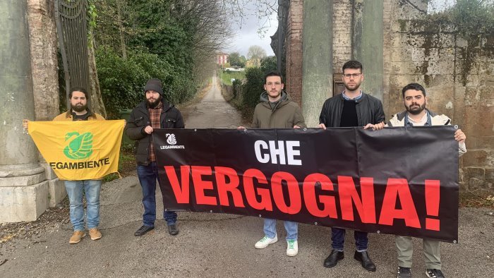 giu 19 pini dell agrario legambiente avellino si e perso troppo tempo