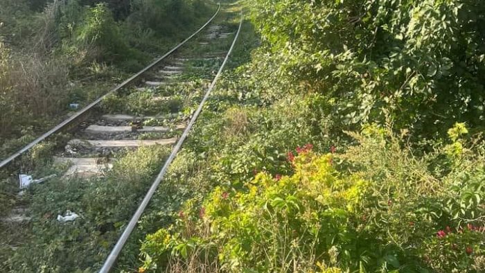 scarpate ferroviarie nel degrado a baronissi sanzionata rfi irresponsabile