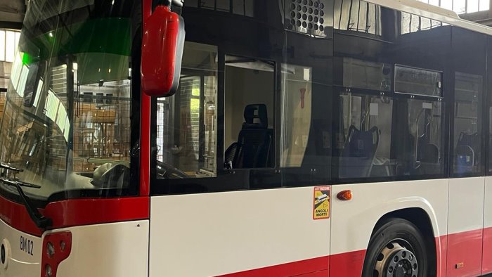 avellino sfonda il vetro del bus air e manda l autista in ospedale