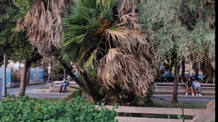 salerno lungomare trieste nel degrado la denuncia di pessolano