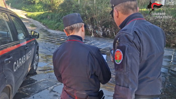 inquinamento ambientale in campo i carabinieri forestali 7 denunce