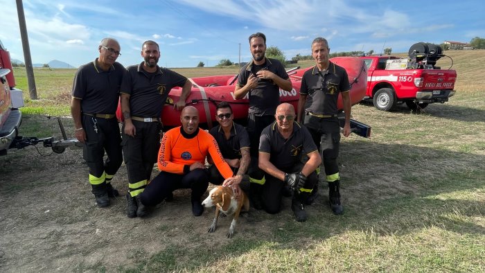 cane cade in una vasca per irrigazione salvato dai vigili del fuoco